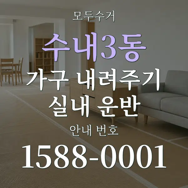 수내3동 가구 내려주기·실내 운반 대표 안내 그래픽