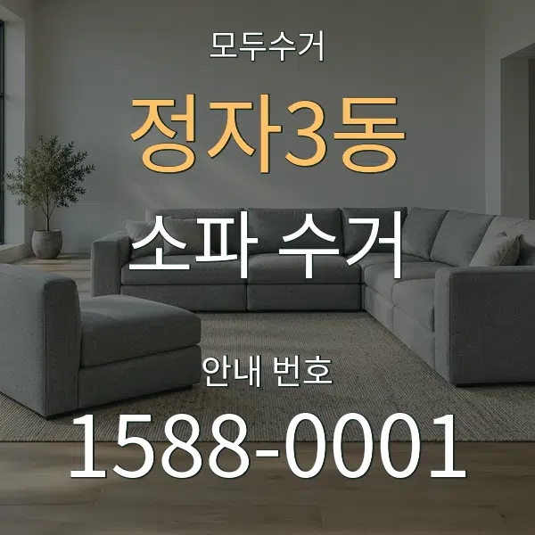 정자3동 소파 수거 대표 안내 그래픽