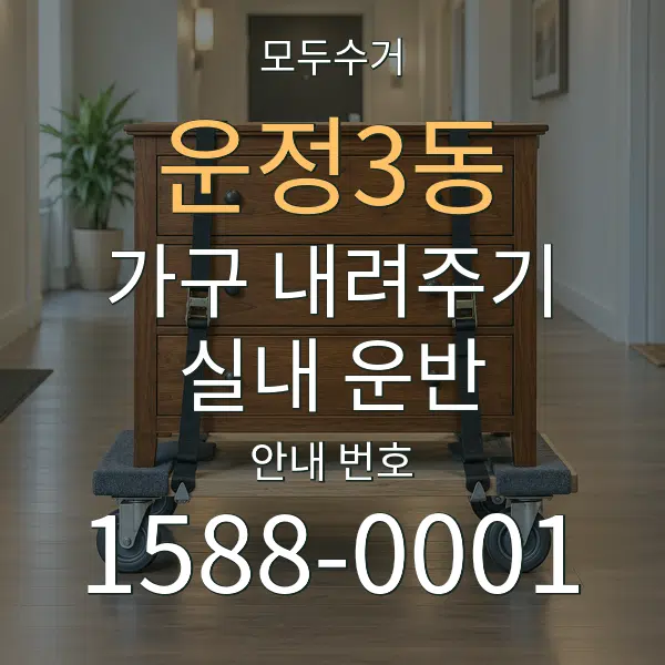 운정3동 가구 내려주기·실내 운반 대표 안내 그래픽