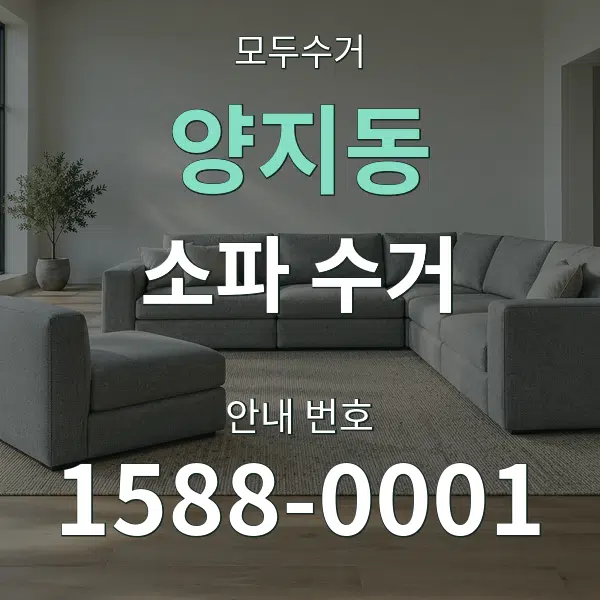 양지동 소파 수거 대표 안내 그래픽