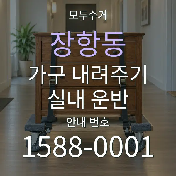 장항동 가구 내려주기·실내 운반 대표 안내 그래픽