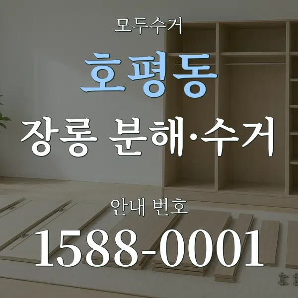 호평동 장롱 분해·수거 대표 안내 그래픽