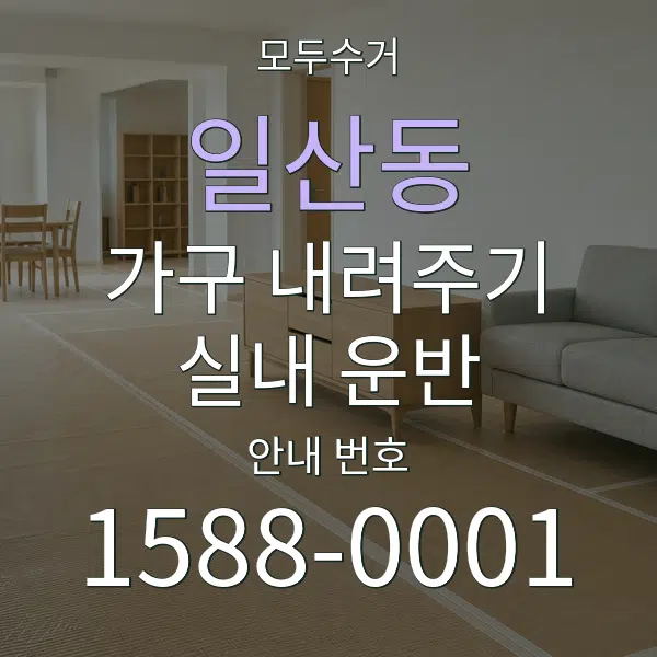 일산동 가구 내려주기·실내 운반 대표 안내 그래픽