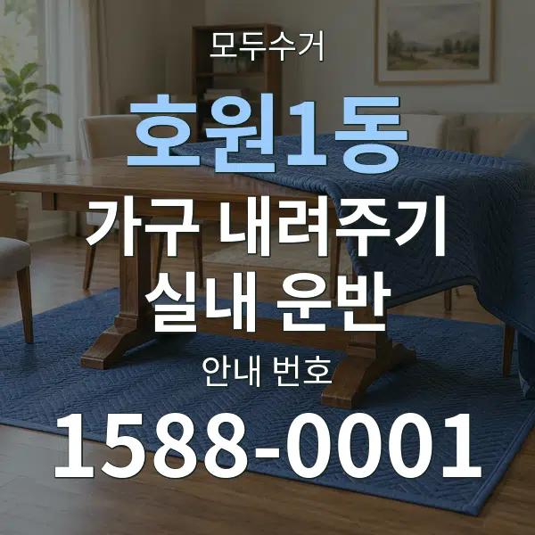 호원1동 가구 내려주기·실내 운반 대표 안내 그래픽