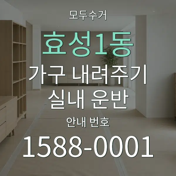 효성1동 가구 내려주기·실내 운반 대표 안내 그래픽