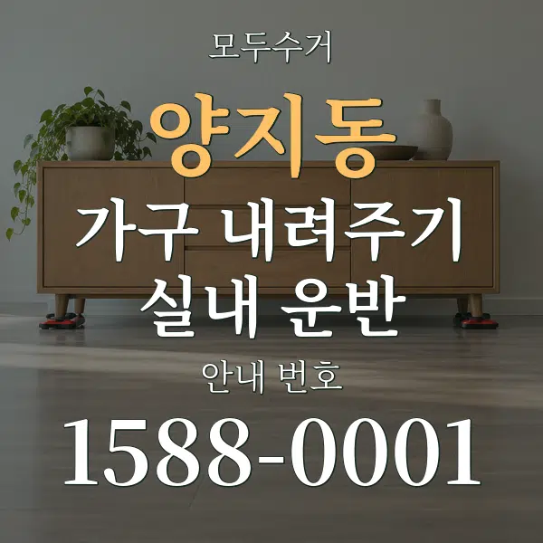 양지동 가구 내려주기·실내 운반 대표 안내 그래픽