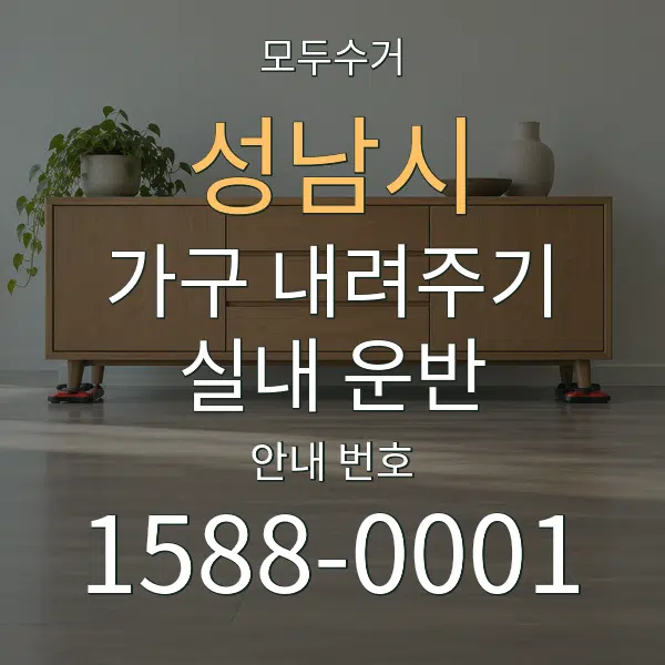 성남시 가구 내려주기·실내 운반 대표 안내 그래픽
