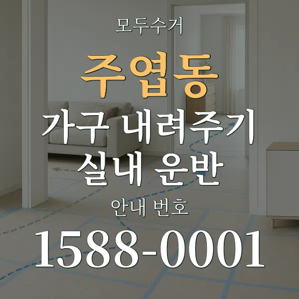 주엽동 가구 내려주기·실내 운반 대표 안내 그래픽