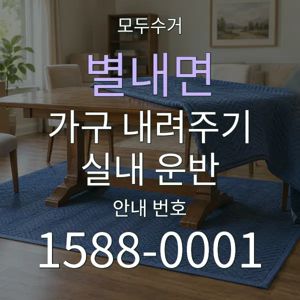 별내면 가구 내려주기·실내 운반 대표 안내 그래픽