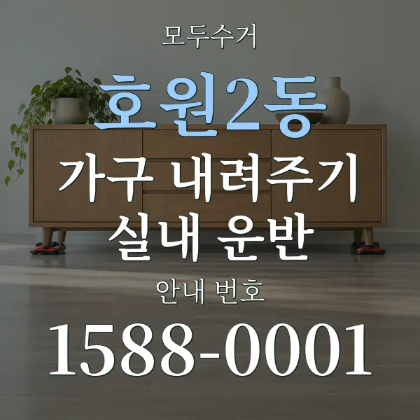 호원2동 가구 내려주기·실내 운반 대표 안내 그래픽
