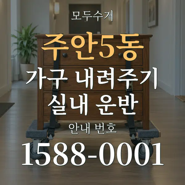 주안5동 가구 내려주기·실내 운반 대표 안내 그래픽