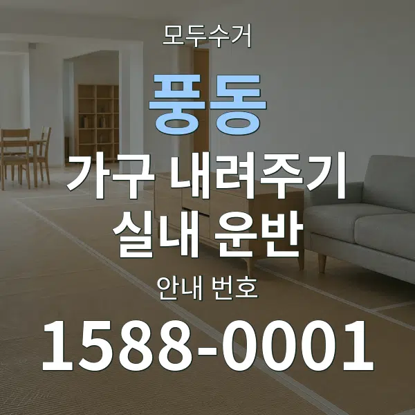 풍동 가구 내려주기·실내 운반 대표 안내 그래픽