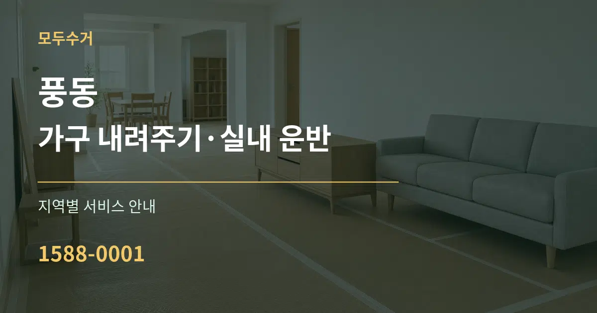 풍동 가구 내려주기·실내 운반 대표 안내 그래픽