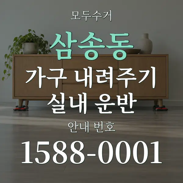 삼송동 가구 내려주기·실내 운반 대표 안내 그래픽