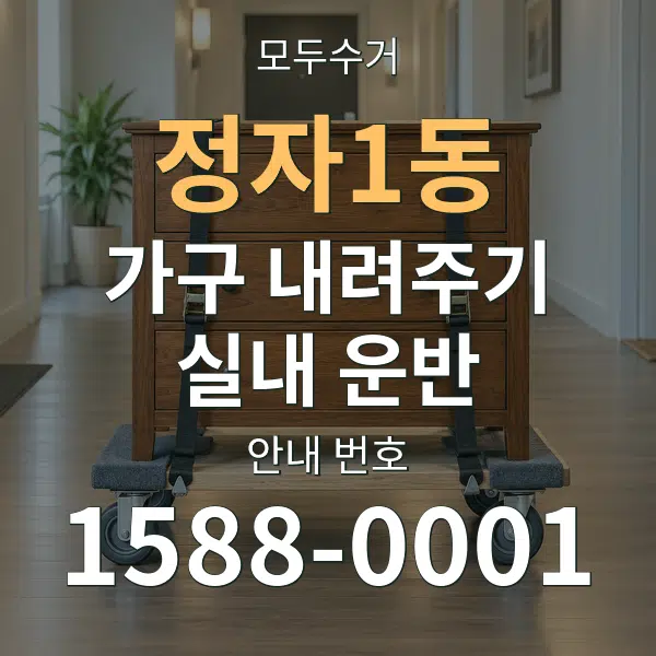 정자1동 가구 내려주기·실내 운반 대표 안내 그래픽