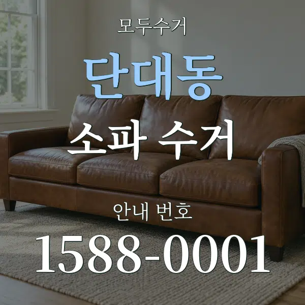 단대동 소파 수거 대표 안내 그래픽
