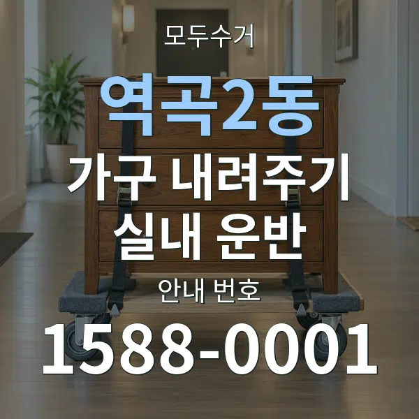 역곡2동 가구 내려주기·실내 운반 대표 안내 그래픽