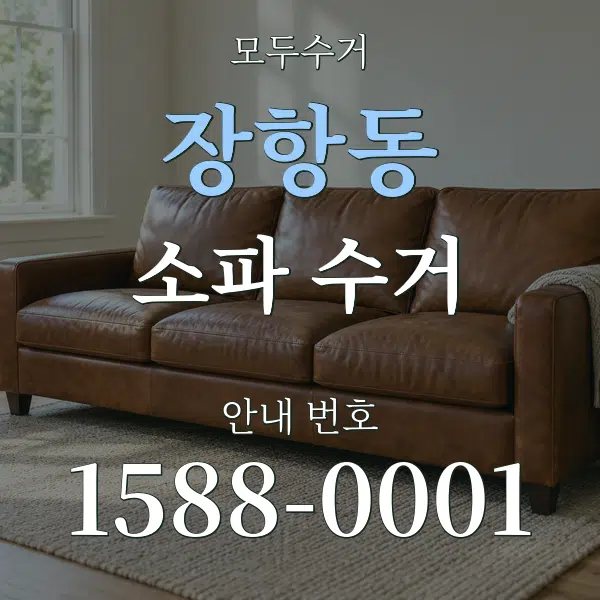 장항동 소파 수거 대표 안내 그래픽