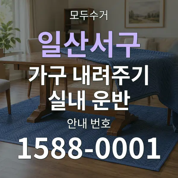 일산서구 가구 내려주기·실내 운반 대표 안내 그래픽