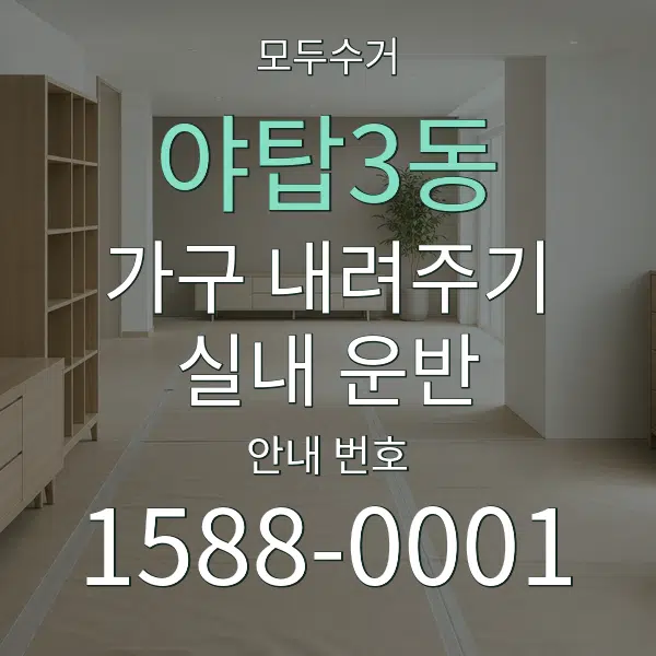야탑3동 가구 내려주기·실내 운반 대표 안내 그래픽