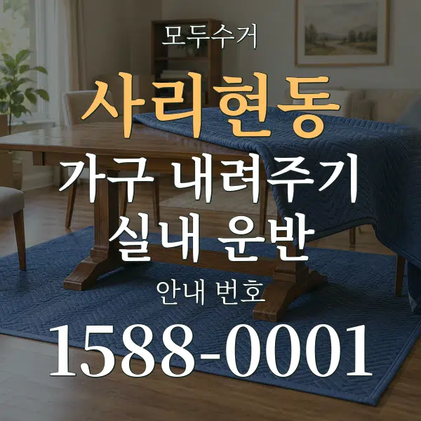 사리현동 가구 내려주기·실내 운반 대표 안내 그래픽